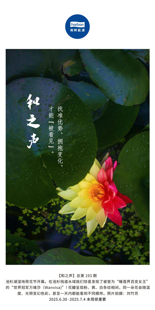 【和之声】找准优势、拥抱变动，能力“被看见”。(总第193期）--2025.6中文导出季度推送用.jpg