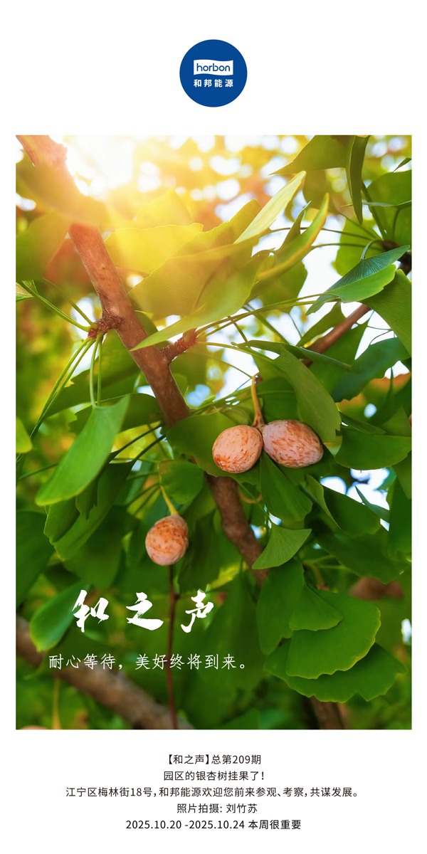 【和之声】耐心期待，美好终将到来。-(总第209期）2025.10.20中文导出季度推送用.jpg